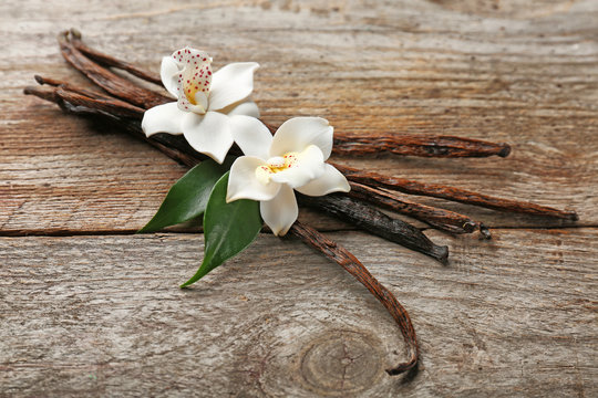Flavor Solutions 1 Vanilla | Flavor Development Services | Premier Product Development | Hillside, NJ